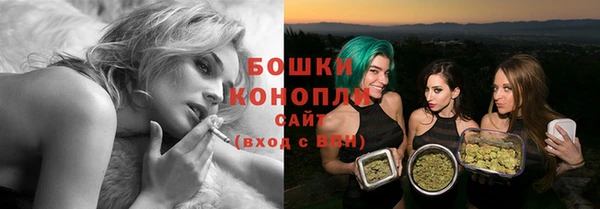 мдпв Лиски