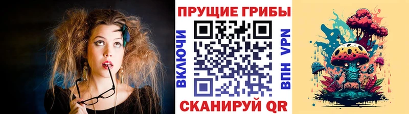 МЕГА зеркало  Новосибирск  Галлюциногенные грибы GOLDEN TEACHER  закладки 